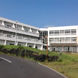 マリンプラザ　ワイズドリーム 大島